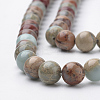 Natural Aqua Terra Jasper Strands X-G-S150-50-4mm-3