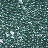 Glass Beads SEED-S040-06A-09-3