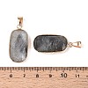 Natural Labradorite Pendants G-N349-03C-G-3