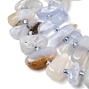 Natural Blue Lace Agate Beads Strands G-L649-A02-01-4