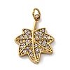 316 Stainless Steel Rhinestone Pendants STAS-K258-39C-G-1