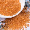 MIYUKI Round Rocailles Beads SEED-JP0008-RR0253-1