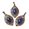Dyed Natural Lapis Lazuli Pendants G-H065-3R-08-1