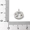 304 Stainless Steel Micro Pave Cubic Zirconia Charms STAS-Z107-09P-04-3