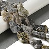 Natural Bamboo Leaf Agate Beads Strands G-NH0014-F01-01-2