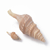 Spiral Shell Beads X-SSHEL-S258-07-2