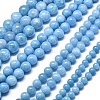 Natural Malaysia Jade Beads Strands G-L645-A01-14mm-15-2