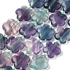 Natural Flower Rainbow Fluorite Beads Strands G-L241B-09-01-1