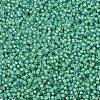 MIYUKI Delica Beads SEED-MY11-DB2053-3