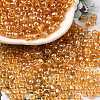 Glass Seed Beads SEED-XCP0001-33-1
