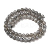 Natural Labradorite Beads Strands G-H326-01-6MM-1-5