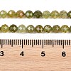 Natural Green Garnet Beads Strands G-B181-A01-4mm-5