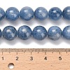 Natural Kyanite Beads Strands G-C259-B01-10mm-01-5