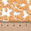 Glass Seed Beads SEED-L011-04A-06-4