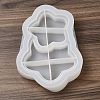 Star DIY Quicksand Serving Tray Silicone Molds LS-DIY-G109-05A-4