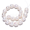 Natural Cultured Freshwater Pearl Beads Strands LS-PEAR-N012-08G-2