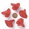 Transparent Acrylic Beads BSF796-C12-5