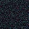 TOHO 11/0 Round Beads X-SEED-TR11-0505-2