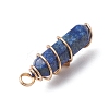 2Pcs 2 Styles Natural Lapis Lazuli Double Terminated Pointed Pendants PALLOY-JF03122-04-5