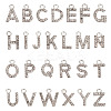 2 Sets Alloy Rhinestone Charms ENAM-TA0008-99P-2