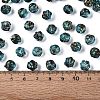 Picasso Transparent Glass Beads SEED-Q039-04G-4