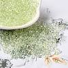 Transparent Colours Glass Seed Beads SEED-P007-02A-06-1