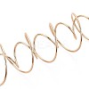 201 Stainless Steel Plant Hangers STAS-N120-02G-2