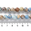 Dyed Natural Regalite/Imperial Jasper/Sea Sediment Jasper Beads Strands G-B124-C01-03-5