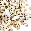 218Pcs Acrylic Beads OACR-YW0002-17-1
