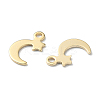 60Pcs 12 Style 304 & 201 Stainless Steel Charms STAS-FS0001-40-3