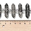 Natural Map Stone Double Terminated Point Beads Strands G-H069-B09-01-5
