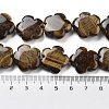 Natural Tiger Eye Beads Strands G-F769-H01-02-5