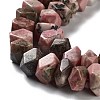 Natural Rhodonite Beads Strands G-D091-A06-4
