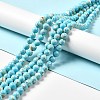 Synthetic Turquoise and Sea Shell Assembled Beads Strands G-D482-01A-07-1