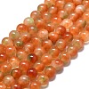 Natural Malaysia Jade Beads Strands G-L645-C01-4mm-29-1