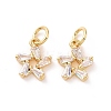 Star Brass Micro Pave Clear Cubic Zirconia Charms KK-G435-43G-2