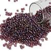TOHO 8/0 Round Beads X-SEED-TR08-0166B-1