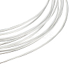 925 Sterling Silver Wire FIND-BBC0002-89D-1