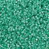 MIYUKI Round Rocailles Beads SEED-X0056-RR0571-4