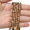 Natural Picture Jasper Heishi Beads Strands G-A299-A05-01-2