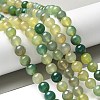 Natural Agate Beads Strands G-NH0001-G11-01-2