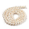 Natural Cultured Freshwater Pearl Beads Strands LS-PEAR-J005-03-01-3