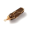 Natural Tiger Eye Double Terminated Pointed Pendants LS-G-TAC0010-04G-05-2