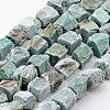 Natural Amazonite Beads Strands G-D833-19-1