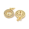 Brass Micro Pave Clear Cubic Zirconia Charms KK-Z044-34G-2