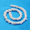 Natural Sea Shell Chips Beads Strands X-BSHE-Q024-02-2