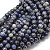 Natural Sodalite Round Beads Strands G-P075-07-8mm-1