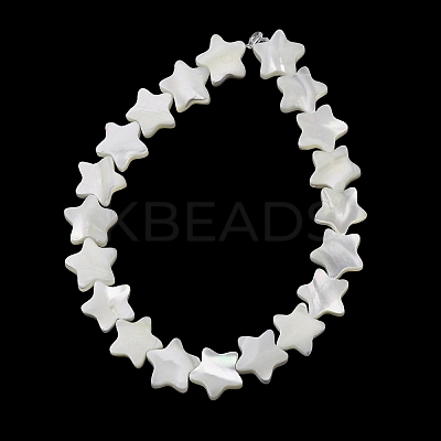 Natural Trochid Shell/Trochus Shell Beads Strands SH-CBA2978-17B-1