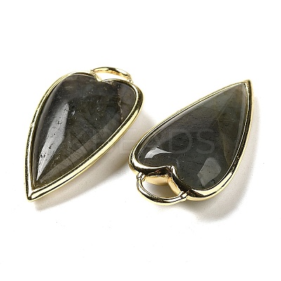 Natural Labradorite Pendants G-K347-01G-04-1