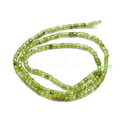 Natural Peridot Beads Strands LS-G-P457-B01-06-1
